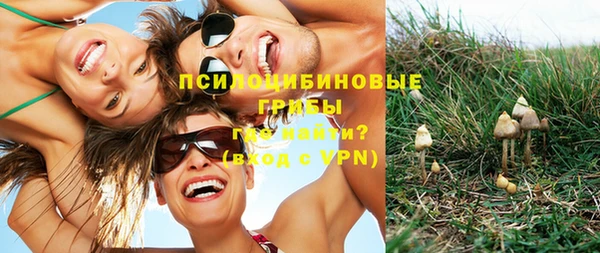mdpv Алексеевка