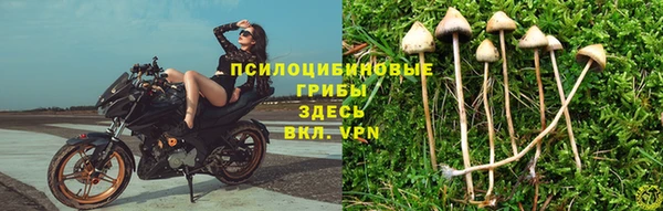 молекула духа Алексин