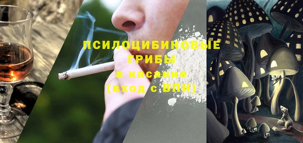 молекула духа Алексин