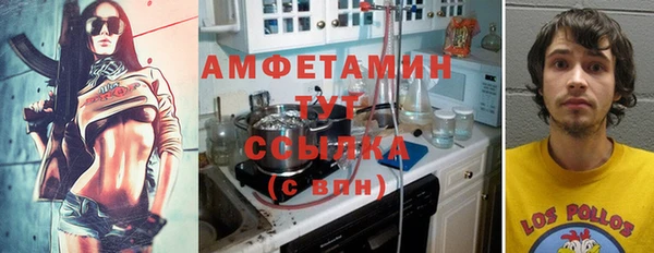 молекула духа Алексин