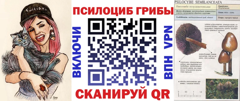 Псилоцибиновые грибы Psilocybine cubensis  Орлов 