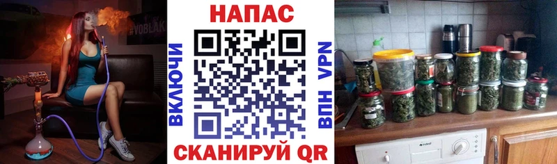 как найти наркотики  Орлов  нарко площадка состав  Шишки марихуана гибрид 